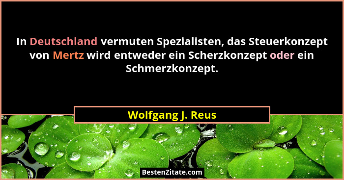 In Deutschland vermuten Spezialisten, das Steuerkonzept von Mertz wird entweder ein Scherzkonzept oder ein Schmerzkonzept.... - Wolfgang J. Reus