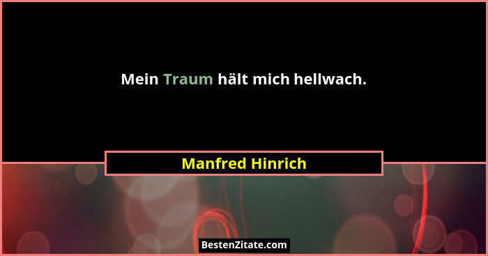 Mein Traum hält mich hellwach.... - Manfred Hinrich