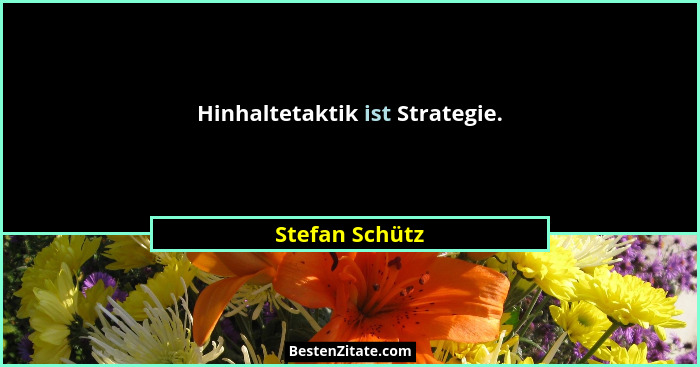 Hinhaltetaktik ist Strategie.... - Stefan Schütz