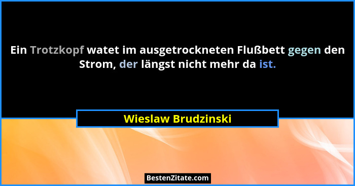 Ein Trotzkopf watet im ausgetrockneten Flußbett gegen den Strom, der längst nicht mehr da ist.... - Wieslaw Brudzinski