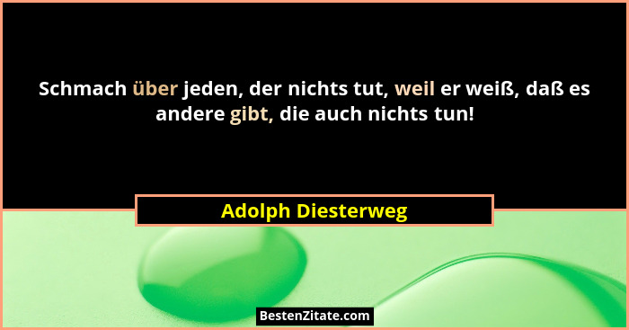 Schmach über jeden, der nichts tut, weil er weiß, daß es andere gibt, die auch nichts tun!... - Adolph Diesterweg