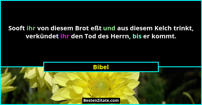 Sooft ihr von diesem Brot eßt und aus diesem Kelch trinkt, verkündet ihr den Tod des Herrn, bis er kommt.... - Bibel