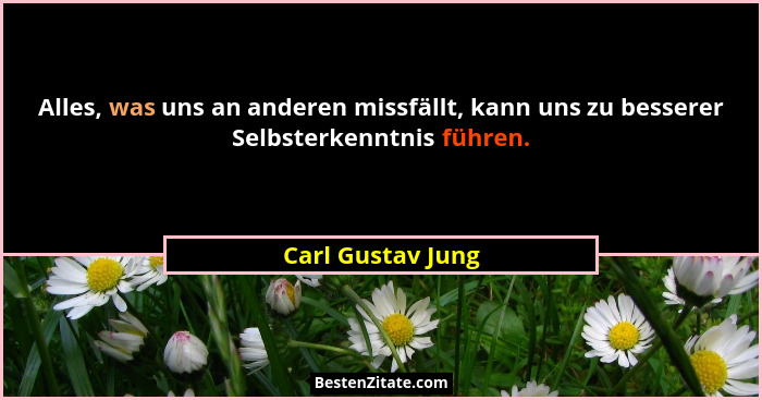 Alles, was uns an anderen missfällt, kann uns zu besserer Selbsterkenntnis führen.... - Carl Gustav Jung