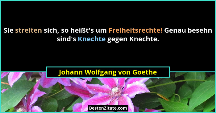 Sie streiten sich, so heißt's um Freiheitsrechte! Genau besehn sind's Knechte gegen Knechte.... - Johann Wolfgang von Goethe