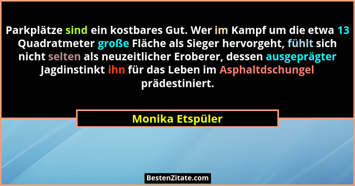 Parkplätze sind ein kostbares Gut. Wer im Kampf um die etwa 13 Quadratmeter große Fläche als Sieger hervorgeht, fühlt sich nicht sel... - Monika Etspüler