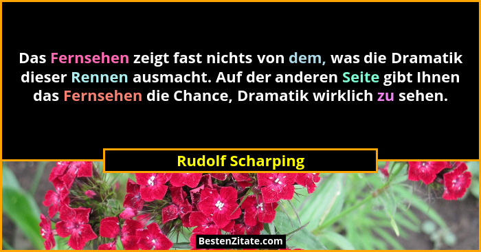 Das Fernsehen zeigt fast nichts von dem, was die Dramatik dieser Rennen ausmacht. Auf der anderen Seite gibt Ihnen das Fernsehen di... - Rudolf Scharping
