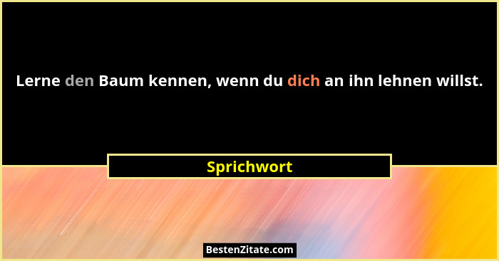 Lerne den Baum kennen, wenn du dich an ihn lehnen willst.... - Sprichwort