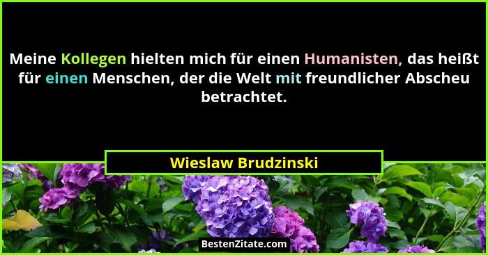 Meine Kollegen hielten mich für einen Humanisten, das heißt für einen Menschen, der die Welt mit freundlicher Abscheu betrachtet.... - Wieslaw Brudzinski