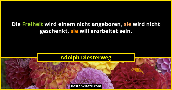 Die Freiheit wird einem nicht angeboren, sie wird nicht geschenkt, sie will erarbeitet sein.... - Adolph Diesterweg