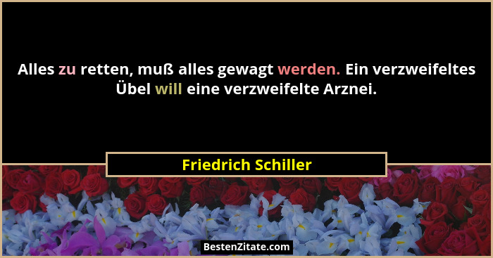 Alles zu retten, muß alles gewagt werden. Ein verzweifeltes Übel will eine verzweifelte Arznei.... - Friedrich Schiller