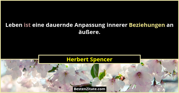 Leben ist eine dauernde Anpassung innerer Beziehungen an äußere.... - Herbert Spencer