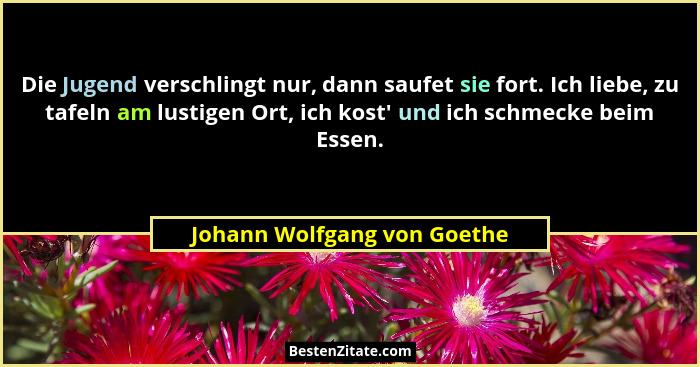 Die Jugend verschlingt nur, dann saufet sie fort. Ich liebe, zu tafeln am lustigen Ort, ich kost' und ich schmecke be... - Johann Wolfgang von Goethe