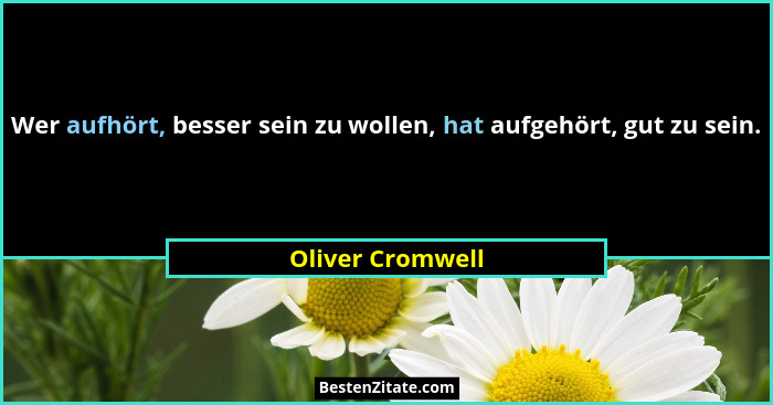 Wer aufhört, besser sein zu wollen, hat aufgehört, gut zu sein.... - Oliver Cromwell