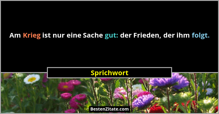 Am Krieg ist nur eine Sache gut: der Frieden, der ihm folgt.... - Sprichwort