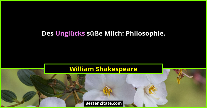 Des Unglücks süße Milch: Philosophie.... - William Shakespeare