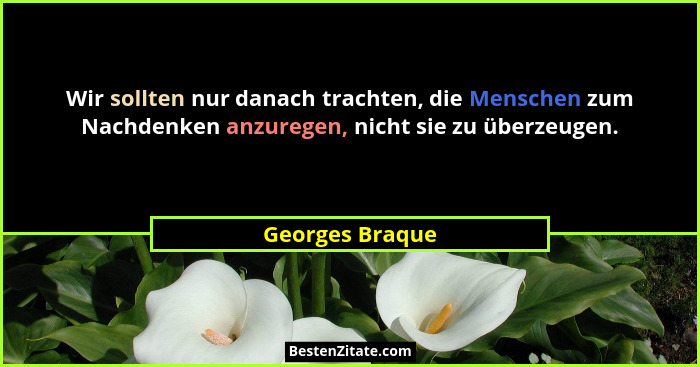 Wir sollten nur danach trachten, die Menschen zum Nachdenken anzuregen, nicht sie zu überzeugen.... - Georges Braque