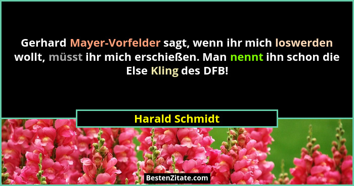 Gerhard Mayer-Vorfelder sagt, wenn ihr mich loswerden wollt, müsst ihr mich erschießen. Man nennt ihn schon die Else Kling des DFB!... - Harald Schmidt