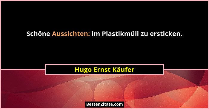 Schöne Aussichten: im Plastikmüll zu ersticken.... - Hugo Ernst Käufer