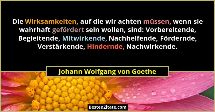 Die Wirksamkeiten, auf die wir achten müssen, wenn sie wahrhaft gefördert sein wollen, sind: Vorbereitende, Begleitende,... - Johann Wolfgang von Goethe