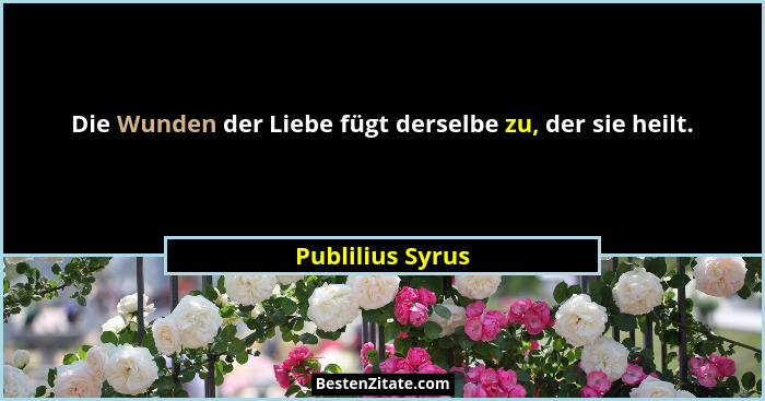 Die Wunden der Liebe fügt derselbe zu, der sie heilt.... - Publilius Syrus