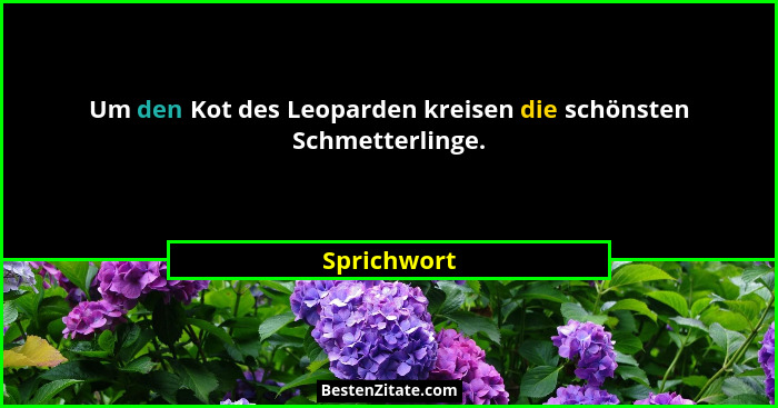 Um den Kot des Leoparden kreisen die schönsten Schmetterlinge.... - Sprichwort