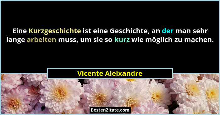 Eine Kurzgeschichte ist eine Geschichte, an der man sehr lange arbeiten muss, um sie so kurz wie möglich zu machen.... - Vicente Aleixandre