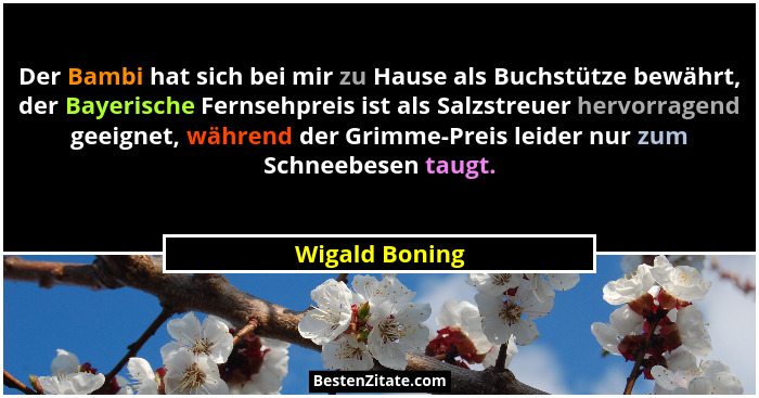 Der Bambi hat sich bei mir zu Hause als Buchstütze bewährt, der Bayerische Fernsehpreis ist als Salzstreuer hervorragend geeignet, wäh... - Wigald Boning
