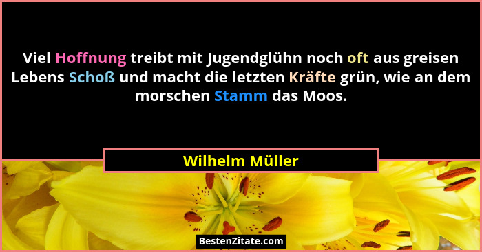 Viel Hoffnung treibt mit Jugendglühn noch oft aus greisen Lebens Schoß und macht die letzten Kräfte grün, wie an dem morschen Stamm d... - Wilhelm Müller