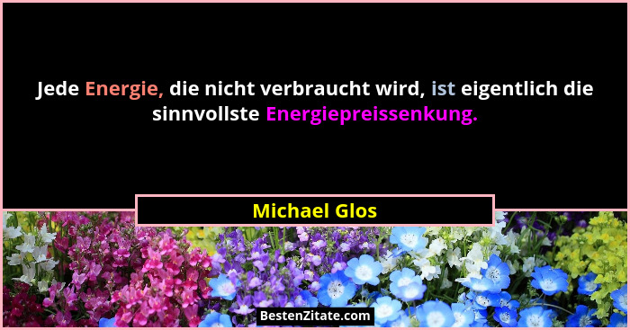 Jede Energie, die nicht verbraucht wird, ist eigentlich die sinnvollste Energiepreissenkung.... - Michael Glos