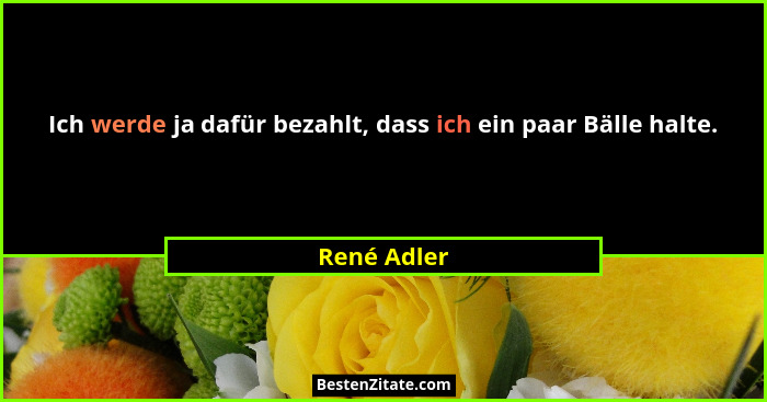 Ich werde ja dafür bezahlt, dass ich ein paar Bälle halte.... - René Adler