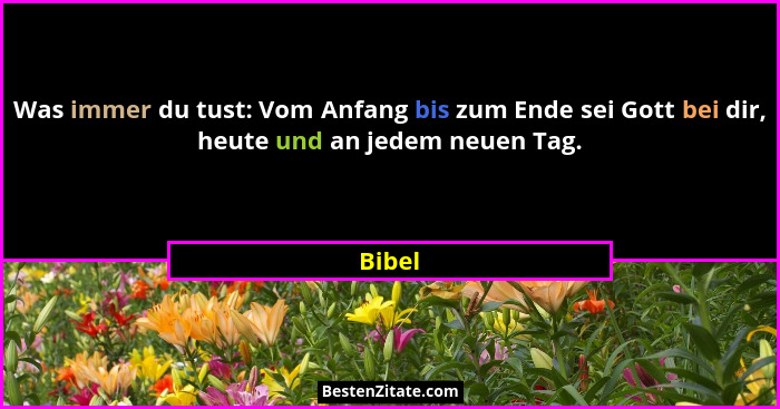 Was immer du tust: Vom Anfang bis zum Ende sei Gott bei dir, heute und an jedem neuen Tag.... - Bibel