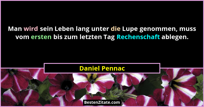 Man wird sein Leben lang unter die Lupe genommen, muss vom ersten bis zum letzten Tag Rechenschaft ablegen.... - Daniel Pennac