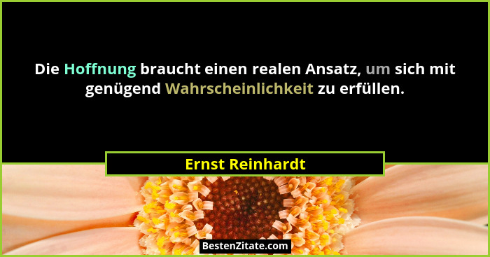 Die Hoffnung braucht einen realen Ansatz, um sich mit genügend Wahrscheinlichkeit zu erfüllen.... - Ernst Reinhardt