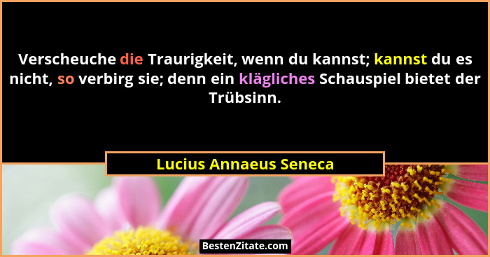 Verscheuche die Traurigkeit, wenn du kannst; kannst du es nicht, so verbirg sie; denn ein klägliches Schauspiel bietet der Trü... - Lucius Annaeus Seneca