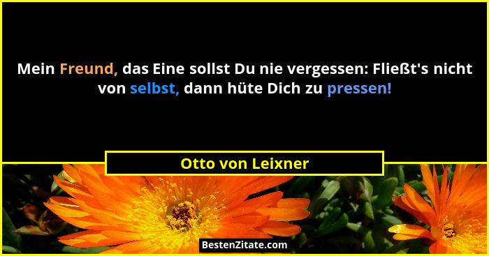 Mein Freund, das Eine sollst Du nie vergessen: Fließt's nicht von selbst, dann hüte Dich zu pressen!... - Otto von Leixner