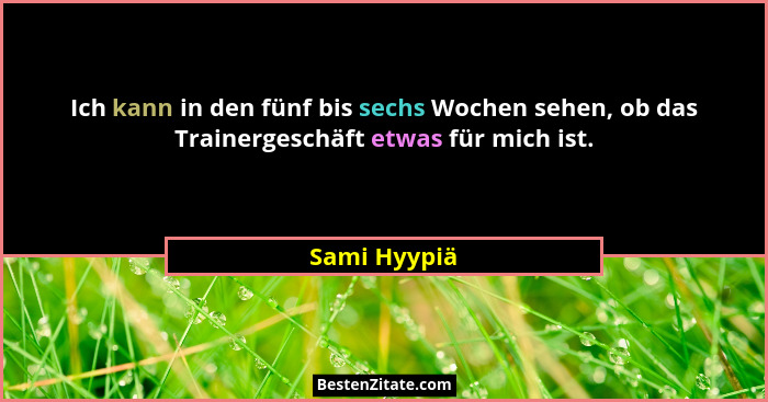 Ich kann in den fünf bis sechs Wochen sehen, ob das Trainergeschäft etwas für mich ist.... - Sami Hyypiä
