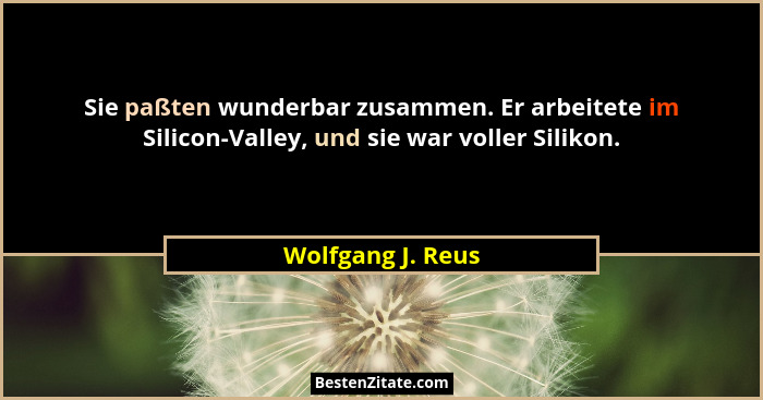 Sie paßten wunderbar zusammen. Er arbeitete im Silicon-Valley, und sie war voller Silikon.... - Wolfgang J. Reus
