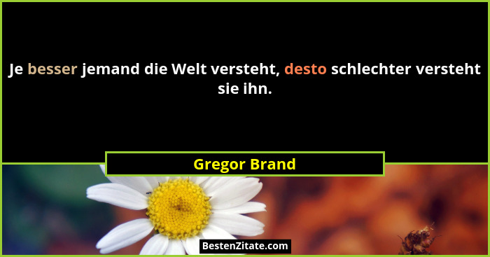 Je besser jemand die Welt versteht, desto schlechter versteht sie ihn.... - Gregor Brand