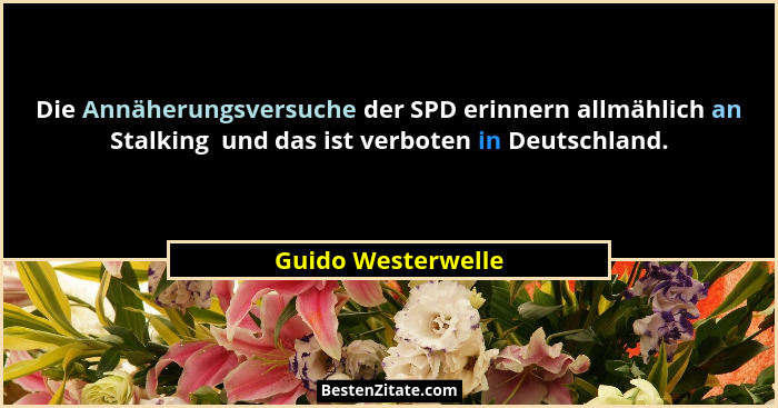 Die Annäherungsversuche der SPD erinnern allmählich an Stalking  und das ist verboten in Deutschland.... - Guido Westerwelle