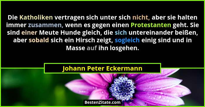 Die Katholiken vertragen sich unter sich nicht, aber sie halten immer zusammen, wenn es gegen einen Protestanten geht. Sie si... - Johann Peter Eckermann