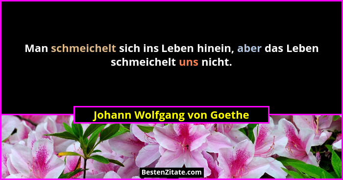 Man schmeichelt sich ins Leben hinein, aber das Leben schmeichelt uns nicht.... - Johann Wolfgang von Goethe