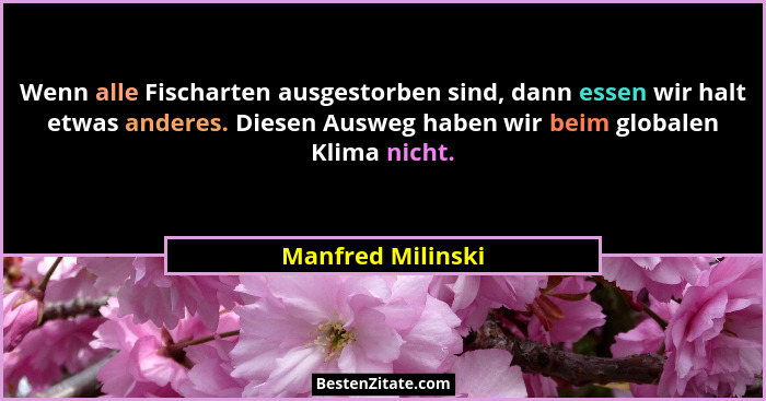 Wenn alle Fischarten ausgestorben sind, dann essen wir halt etwas anderes. Diesen Ausweg haben wir beim globalen Klima nicht.... - Manfred Milinski