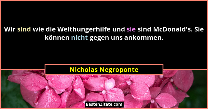 Wir sind wie die Welthungerhilfe und sie sind McDonald's. Sie können nicht gegen uns ankommen.... - Nicholas Negroponte
