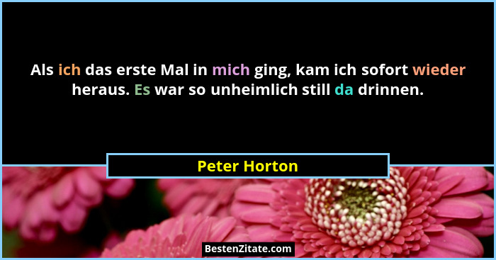 Als ich das erste Mal in mich ging, kam ich sofort wieder heraus. Es war so unheimlich still da drinnen.... - Peter Horton