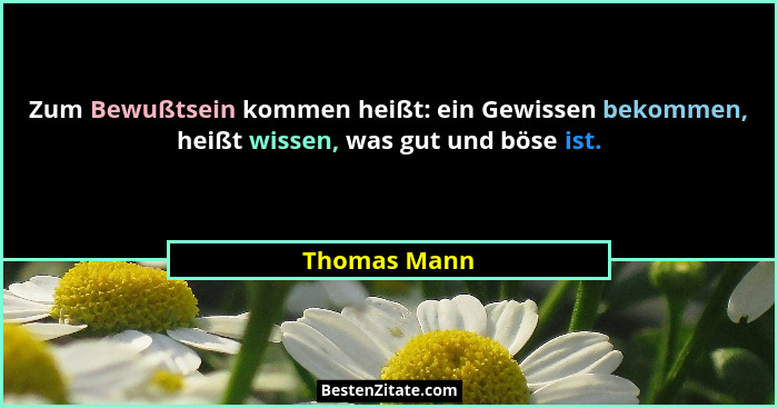 Zum Bewußtsein kommen heißt: ein Gewissen bekommen, heißt wissen, was gut und böse ist.... - Thomas Mann