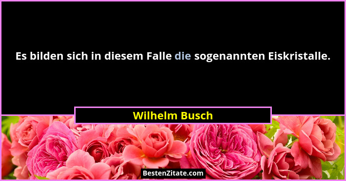 Es bilden sich in diesem Falle die sogenannten Eiskristalle.... - Wilhelm Busch