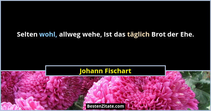 Selten wohl, allweg wehe, Ist das täglich Brot der Ehe.... - Johann Fischart