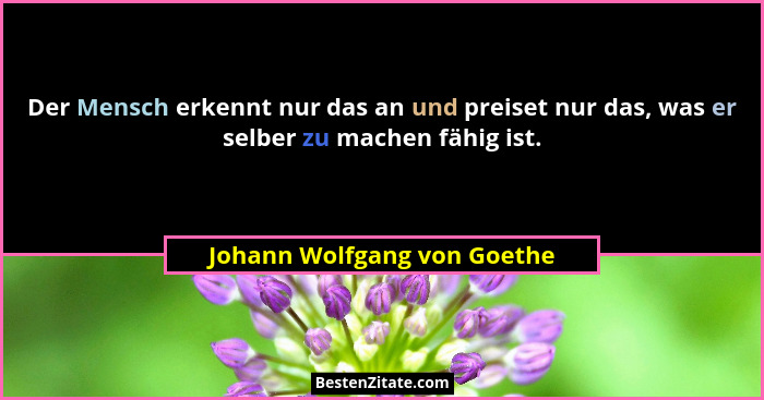 Der Mensch erkennt nur das an und preiset nur das, was er selber zu machen fähig ist.... - Johann Wolfgang von Goethe