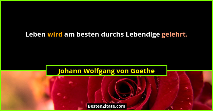 Leben wird am besten durchs Lebendige gelehrt.... - Johann Wolfgang von Goethe