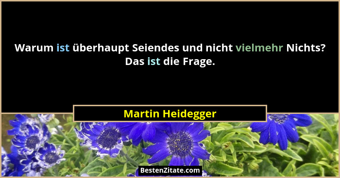 Warum ist überhaupt Seiendes und nicht vielmehr Nichts? Das ist die Frage.... - Martin Heidegger